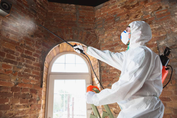 Best Mold Removal for HVAC Installations  in Inglenook, CT